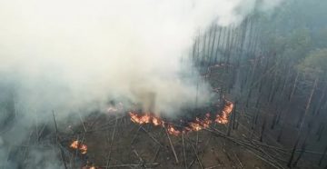 Чернобыльская зона регионы россии 2020