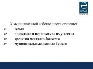 Стелла Какое Движимое Или Недвижимое