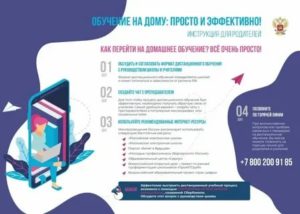 Приказы Обучение На Дому В 2020
