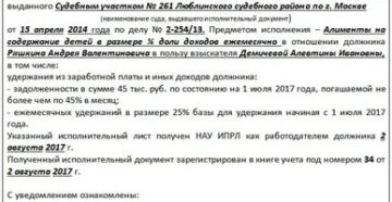 Добровольное Погашение Задолженности По Исполнительному Производству