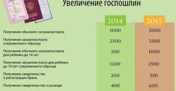 Развод Сколько Стоит С 1 Января 2020 Года