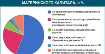 Статистика распоряжения материнским капиталом