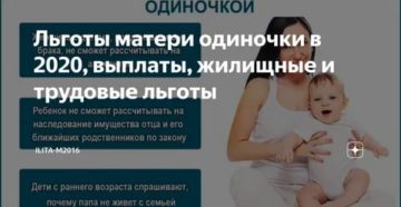 Программа для матерей одиночек в 2020 году