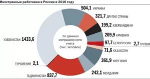 Статистика Сколько Гасторбайтеров В Москве