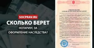 Сколько Берет Нотариус За Оформление Наследства Сколько Берет Нотариус За Оформление Наследства