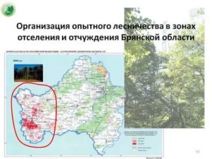 Брянская Область Какая Зона Отчуждения