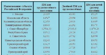 Прожиточный Минимум Для Получения Детского Пособия В 2020 Году В Спб