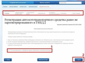 Доверенность Для Законного Представителя Через Госуслуги