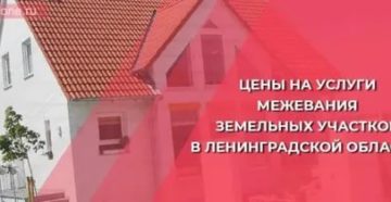 Сколько Стоит Межевание Земельного Участка В Ленинградской Области 2020