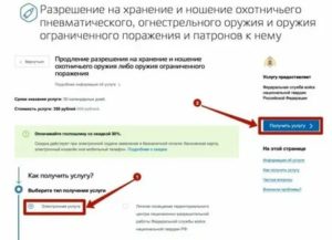 Продление Разрешения На Оружие Через Госуслуги Пошагово