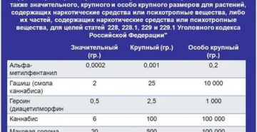 Статья ук рф 228 сбыт в крупном размере 2020