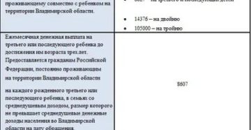 Льготы На Детский Сад Матерям Одиночкам В 2020 Году Во Владимирской Облости