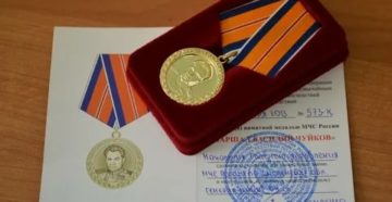 Медаль Мчс За Заслуги Дает Ли Право Получить Ветеран Труда