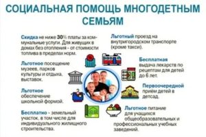 Что Дает Статус Многодетной Семьи В Москве