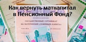 Добровольный Возврат Средств Материнского Капитала В Пенсионный Фонд