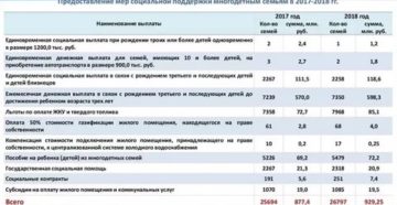 Меры Социальной Поддержки Многодетных Семей Ярославская Область В 2020