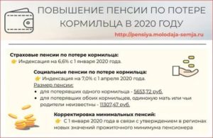 Льготы По Потери Кормильца 2020 Московская Область