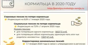 Льготы По Потери Кормильца 2020 Московская Область