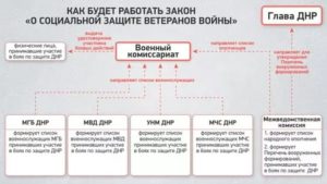 Какие льготы имеют чернобыльцы в днр