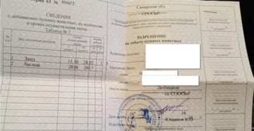 Сколько Стоит Путевка На Зайца В Ростовской Области