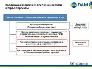 Программа Помощи Начинающим Предпринимателям