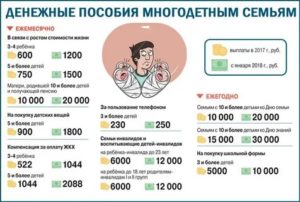 Льготы Многодетным Малоимущим Семьям В Московской Области