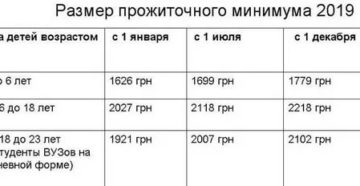 Прожиточный Минимум В Иркутской Области На Посибия Матерей Одиночке В 2020 Году